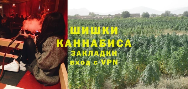 spice Богданович