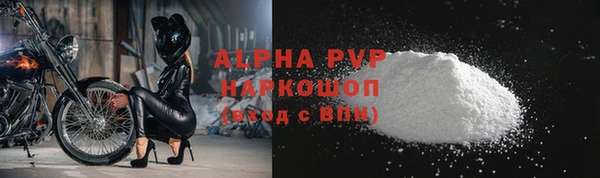 spice Богданович