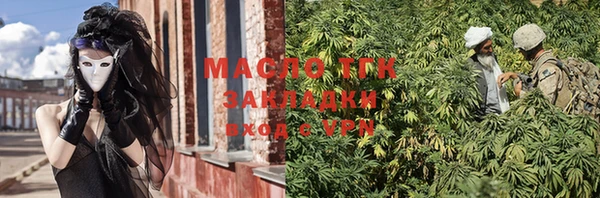 индика Ростов