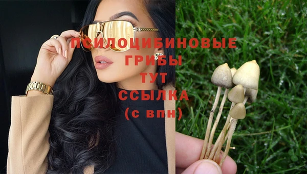 наркотики Богородицк