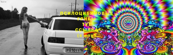 spice Богданович