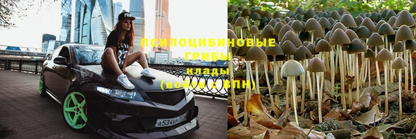 spice Богданович