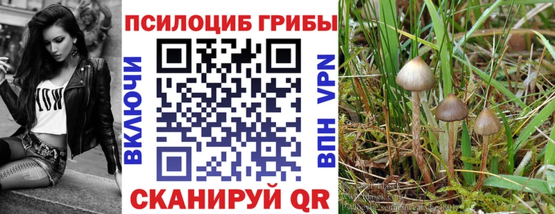 Галлюциногенные грибы мицелий Микунь