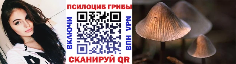 купить наркотик  Микунь  Псилоцибиновые грибы прущие грибы 